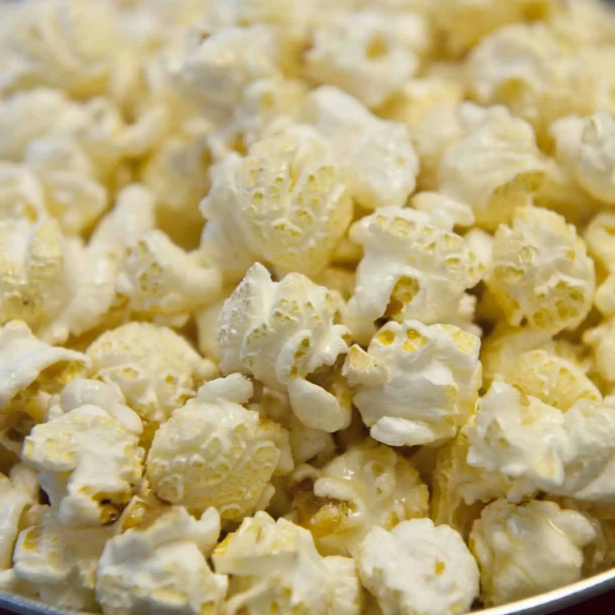 Mushroom flavoured popcorn by myEureka