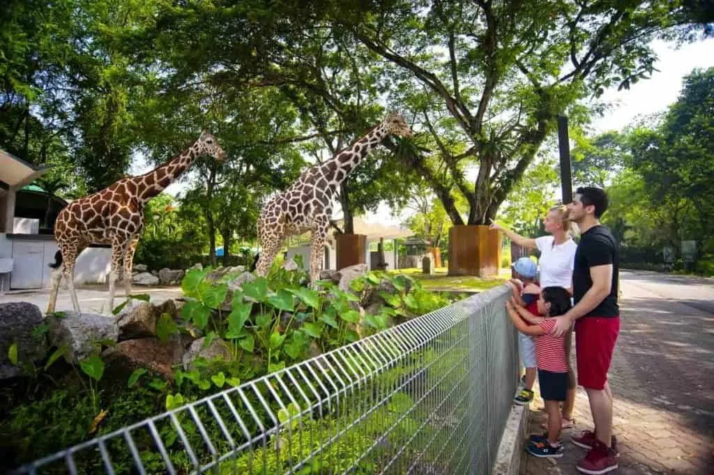 A family enjoying their day at Zoo Negara