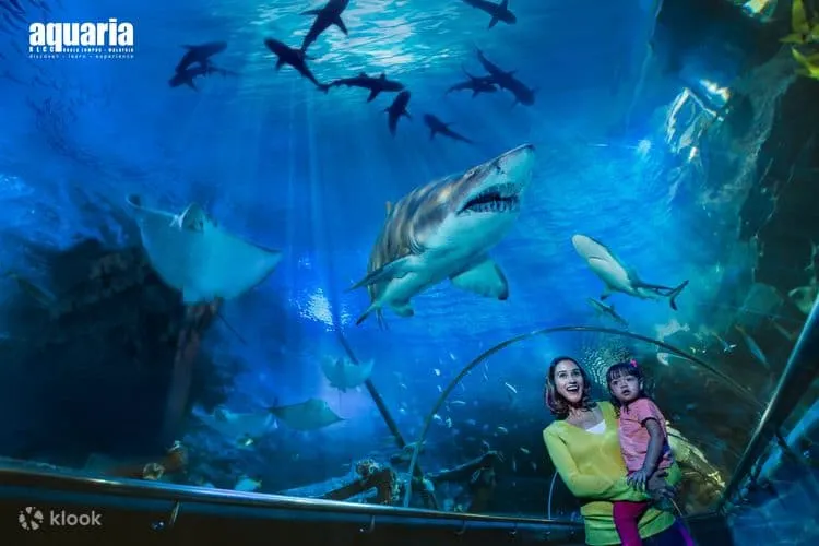 The infamous tunnel at aquaria KLCC with a mother and son inside