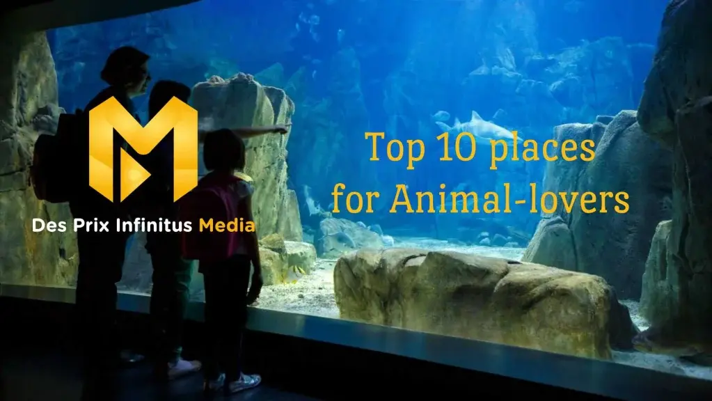 A family at the sea section of a zoo appreciating the aquarium with the Des Prix Infinitus Media logo and article title