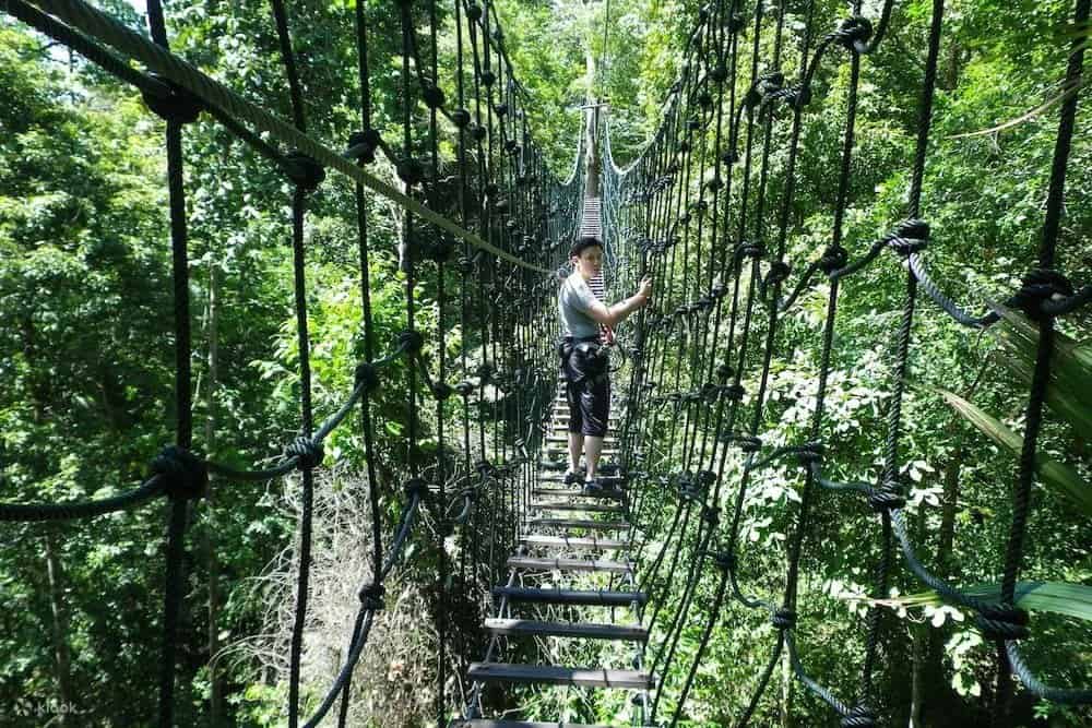 The canopy bridge in the jungles of Sungai Congkak