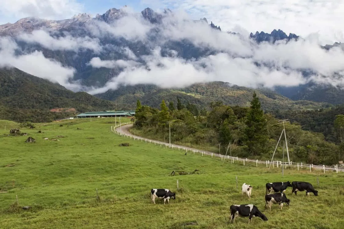 A scenic view of Mount Kinabalu