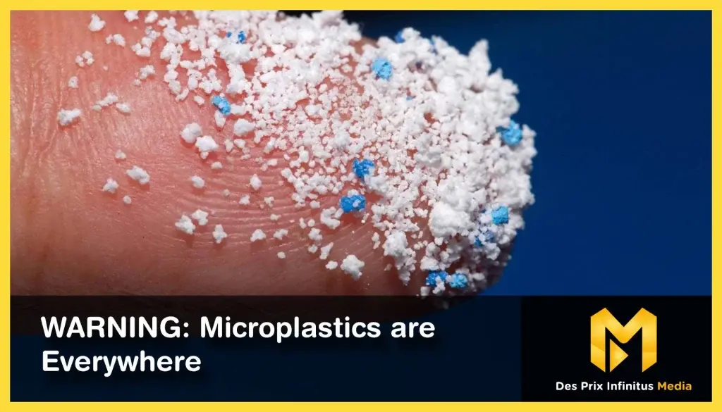 Article Featured Image Working File (9)