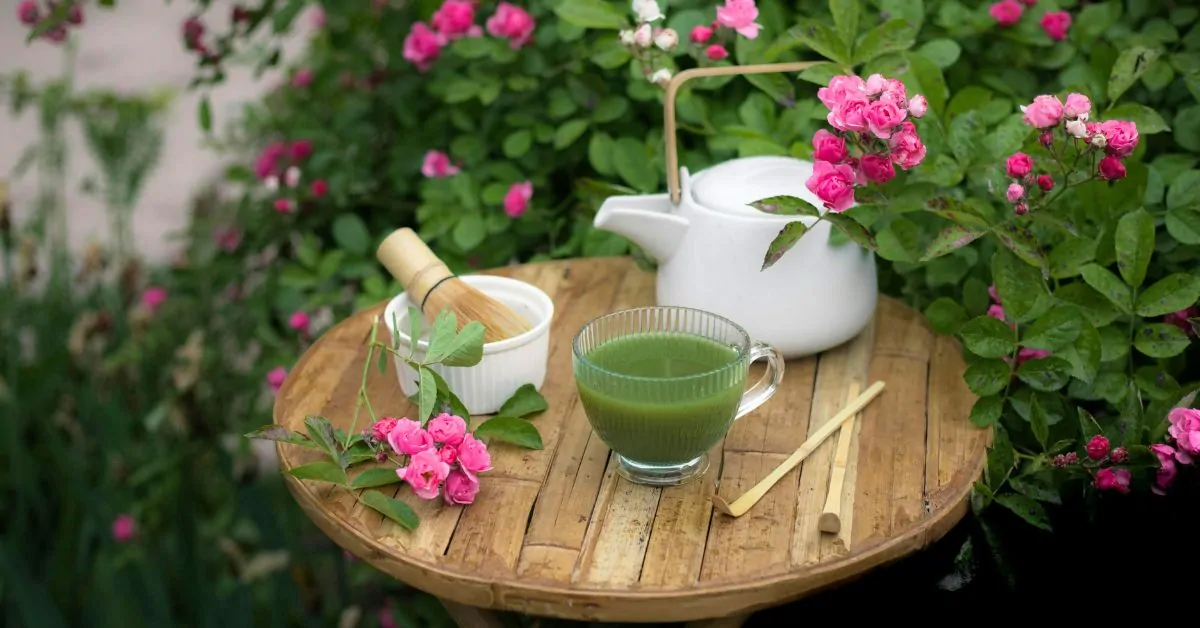 Matcha desserts are taking over cafes heres why everyones obsessed img