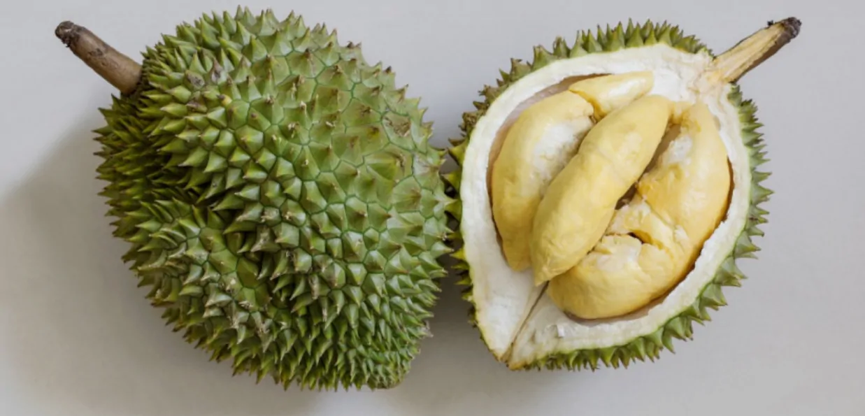 Musang King