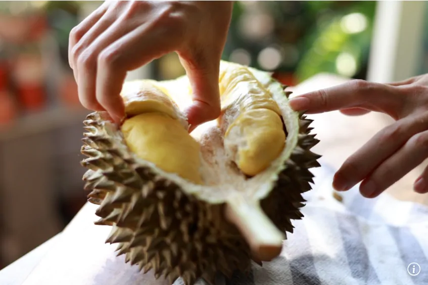 Durian