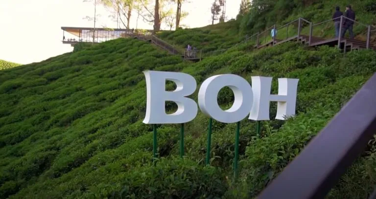 Boh tea plantation